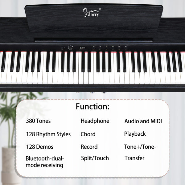 88 Key Standard Heavy Hammer Keyboard, Upright Black Electric Piano, AM Not Sold